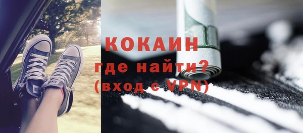 СК Алексин