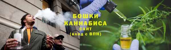 PSILOCYBIN Алзамай