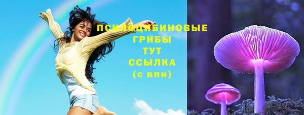 PSILOCYBIN Алзамай