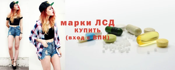 PSILOCYBIN Алзамай