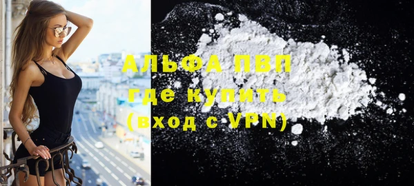 СК Алексин