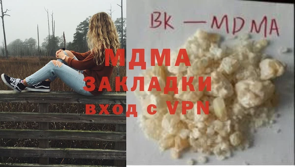 PSILOCYBIN Алзамай