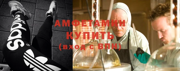 СК Алексин
