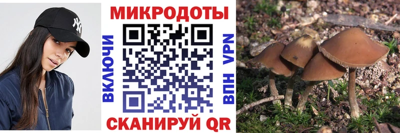 дарнет шоп  Пласт  MEGA онион  Галлюциногенные грибы MAGIC MUSHROOMS 